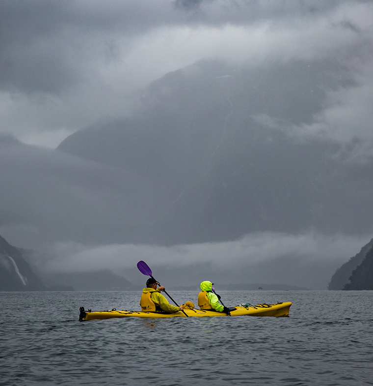 Eco Tours Eco Cruises - Milford Sound