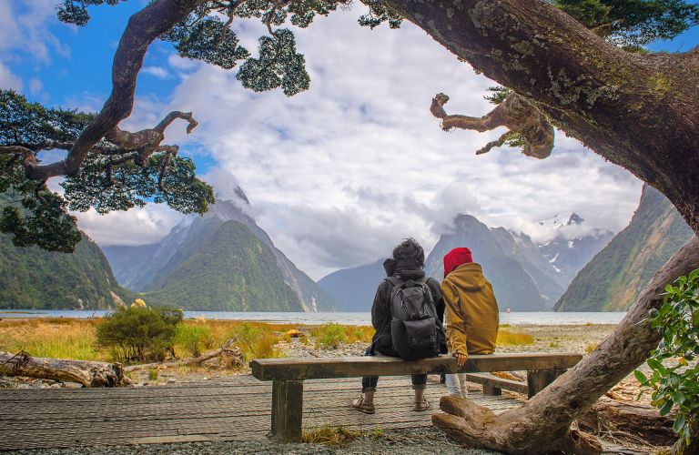 Milford Sound Walks Foreshore-Walk- Milford Sound