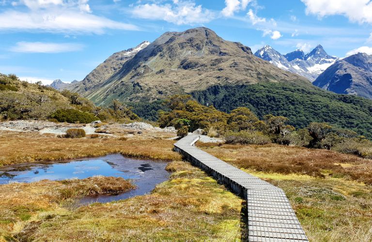 Milford Sound Walks Key-Summit- Milford Sound Walk