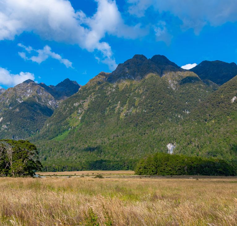 Knobs Flat Knobs Flat of Eglinton Valley viewpoint on the Milford Sound highway, Fiordland