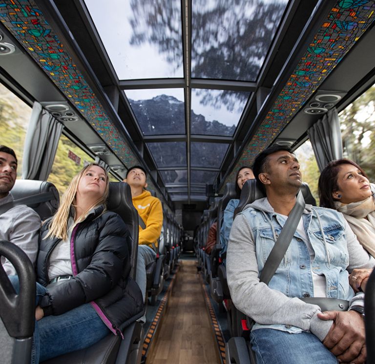 Bus and Coach Milford Sound Day Tour - Glass Roof Coach