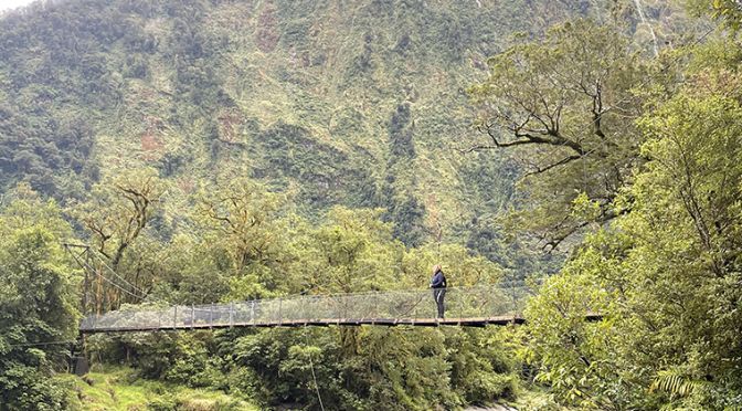 Milford Track swingbridge on Milford Track