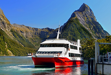 Book now Sourthern Discoveries Milford Sound Cruise